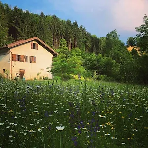 Casetta Bed & Breakfast Cesiomaggiore